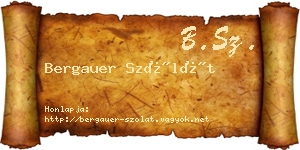 Bergauer Szólát névjegykártya